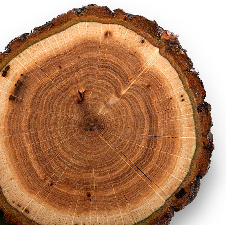 round wood