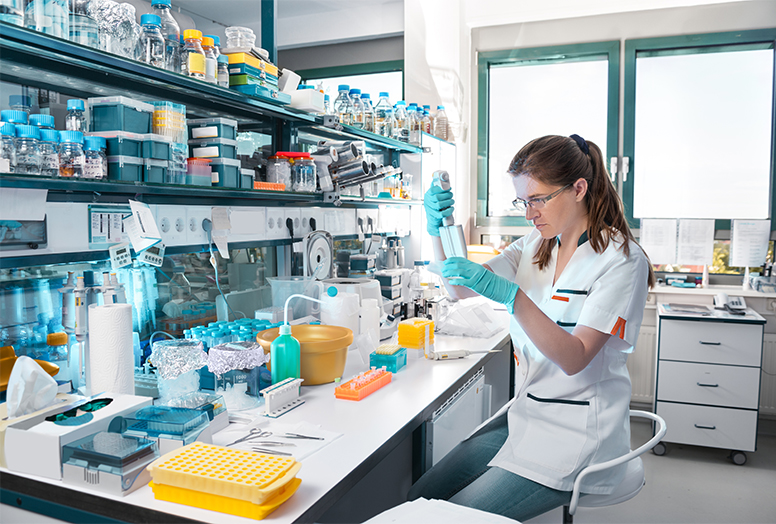lab