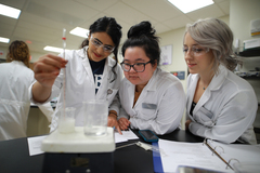 lab