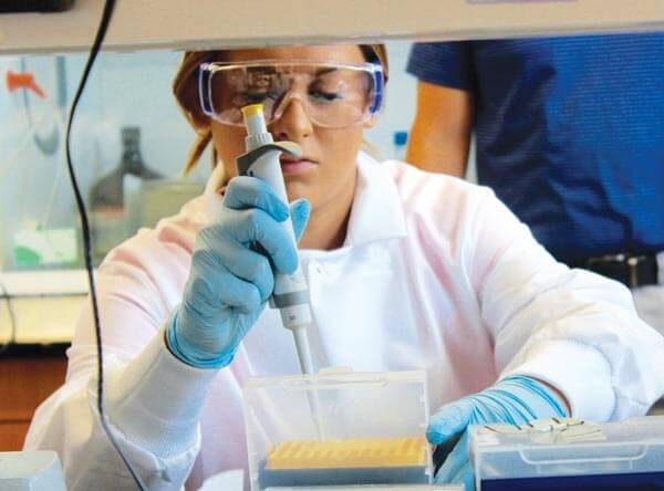 lab
