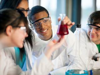 lab